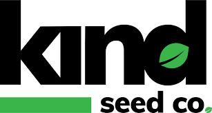 Discovering Cheap Cannabis Seeds Quality Meets Affordability