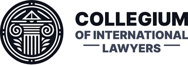 Understanding the Role of Lawyers for Interpol Red Notices 368978250