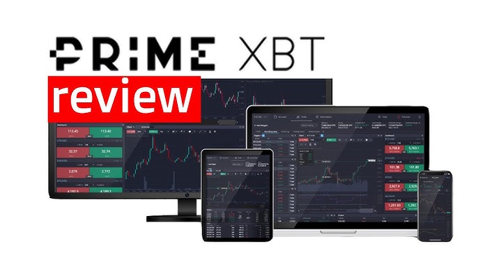Exploring the PrimeXBT Traders Your Gateway to Crypto Trading Success
