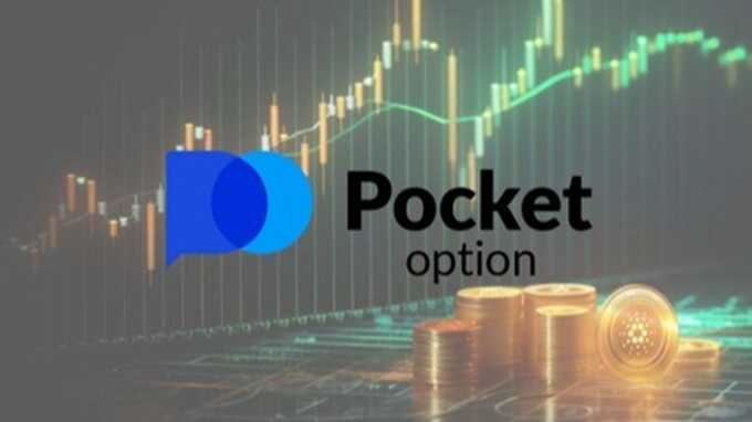 Pocket Option Trading Platform Your Guide to Successful Trading