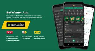 Complete Guide to BetWinner Withdrawals Complete Guide to BetWinner Withdrawals